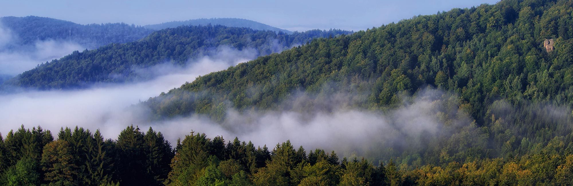 Bayerischer Wald im Nebel - Geistlicher Stein und Bach Sagwasser